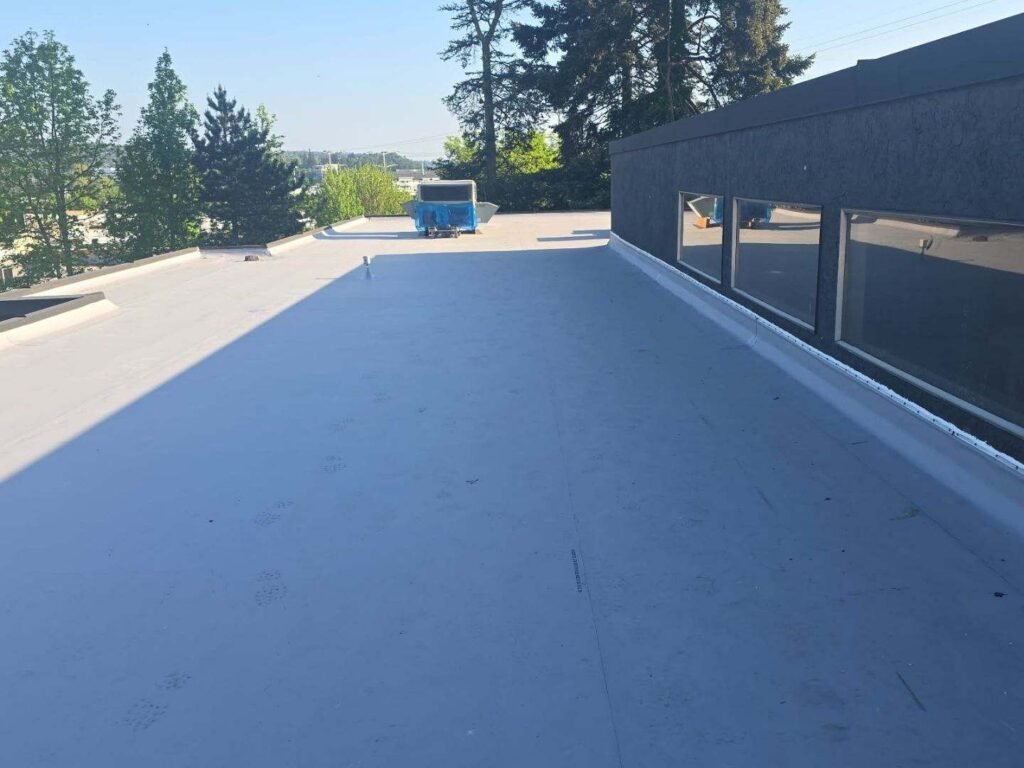 Commercial Roof